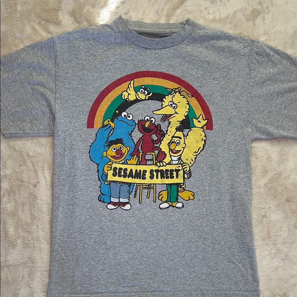 Sesame Street Gray T-Shirt with Colorful Characters